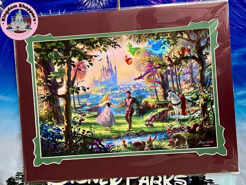 2026 disney parks miscela cota - disney,